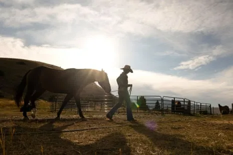 Discover the US Cowgirls Reshaping Modern Ranch Life