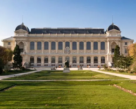 Historic Gold Samples Stolen in Bold Heist at France's Natural History Museum