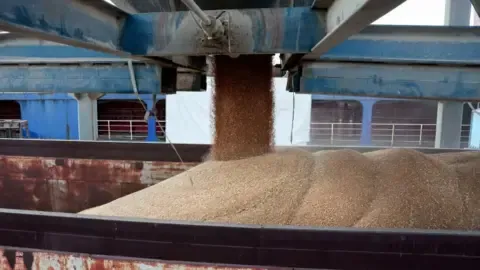 The nation Battles Most Severe Dry Spell in Generations, Forcing Millions Toward the Edge