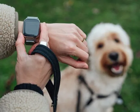 The Honest Scoop Regarding Fitness Trackers? Life Feels Fuller Lacking a Bossy Gadget on Your Wrist